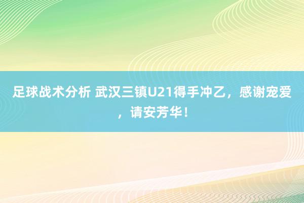 足球战术分析 武汉三镇U21得手冲乙，感谢宠爱，请安芳华！