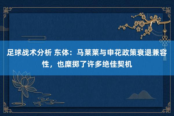 足球战术分析 东体：马莱莱与申花政策衰退兼容性，也糜掷了许多绝佳契机