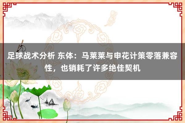 足球战术分析 东体：马莱莱与申花计策零落兼容性，也销耗了许多绝佳契机